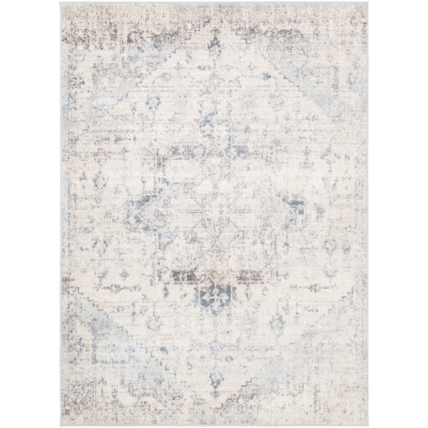 Livabliss Ankara AKR-2310 Machine Crafted Area Rug AKR2310-679 - main